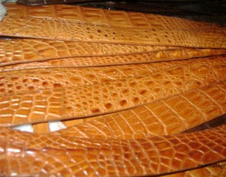 Thắt lưng màu vàng da hông cá sấu